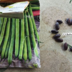 BuschbohnenVerpackung 2026-07-23 12.58.